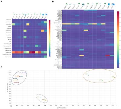 Exploring taxonomic and functional microbiome of Hawaiian stream and spring irrigation water systems using Illumina and Oxford Nanopore sequencing platforms